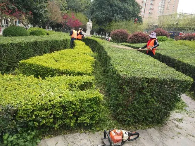 蔡家水土大桥附近绿化工程